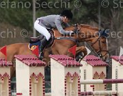 Hamood Eternal Flame TosTour 2013- S4 6622 : Arezzo Equestrian Centre, Eternal Flame, Hamood Olivia, Toscana Tour 2013, foto di Stefano Secchi ©